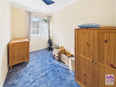 Picture 14